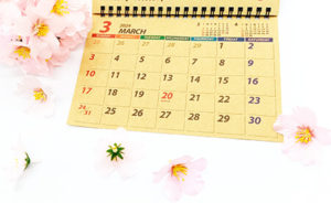 カレンダーの横に桜の花びらが添えられている写真